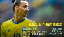 伊布爆料世界杯了吗视频,世界杯幕后故事大曝光